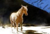 Арт, pixiv, вода, рыжий, свет, лошадь, холм, ocean, конь