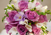 розы, букет, roses, фиолетовый, bouquet, Violet flowers, цветы