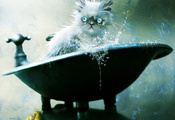 купание, кот, Арт, котэ, ванна, vacuumslayer, кошка, мокрый