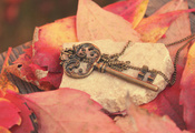 Ключ, металл, листья, цепочка, красные, камень, осень