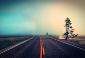 Дорога, дерево, природа, туман Дорога, дерево, природа, туман