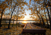 Канада, листья, осень, берег, желтые, деревья, озеро