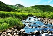 зелень, лето, ручей, горы, Природа, река