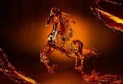 символ 2014 года, лошадь, конь, красиво