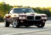 1969, Pontiac, фаербёрд, muscle car, sunset, dark red, firebird, понтиак