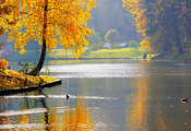 река, осень, пруд, парк, Природа, утки, рыбак