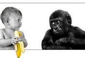 ребёнок, банан, обезьяна
