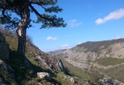 горы, склон, сосна, Crimea, фото, весна