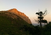 гора, дерево, можжевельник, вечер, закат, фото, Крым, Crimea