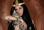 девушка, египтянка, кошка, брюнетка