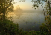 река, Утро, природа, туман