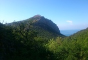 гора, растительность, утро, лето, фото, Крым