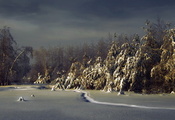 природа, деревья, зима, снег, иней, обои, фон, Россия, тропа, обои, лес