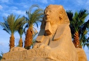 Египет, пирамида, сфинкс, пустыня, пальма