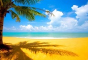 пальма, тень, пляж, море, небо