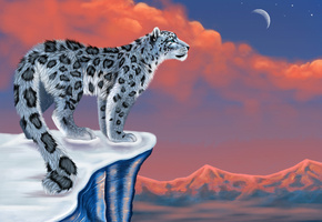 snow leopard, ирбис, Рисунок, горы, луна, снег, снежный барс