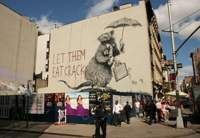 rat, banksy, Graffiti