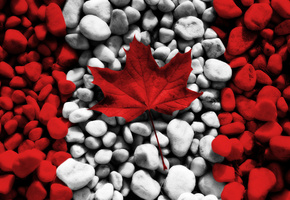 кленовый лист, канада, flags, текстуры, canada, Текстура