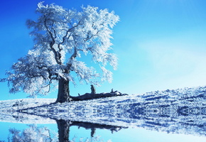 отражение, дерево, иний, небо, снег, колода, вода, бревно