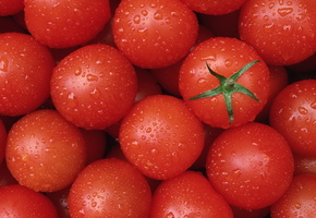 томаты, Еда, чистые, помидоры, красные, вкусно