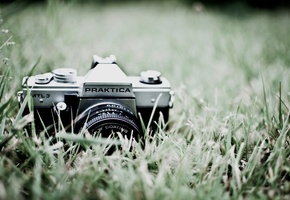 �������, praktica, �����, ��������, �����������, ������