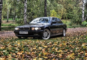 �����, ���, Bmw 7, �����, ���, e38
