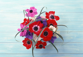 flowers, ����, �������, �����, ����������, �����, beauty