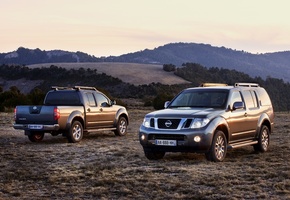 ����, 2010, ����, ����, �������, Nissan, ������, navara, pathfinder