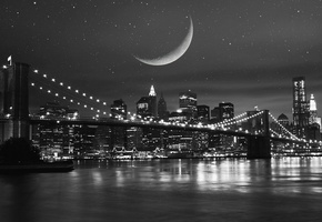����, ����, ����, ����, ����, ������, New york, �����, ����