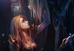 ��������, world of warcraft, �����, chenbo, ���, �����, �������