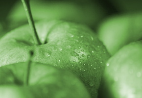 ���, �������, Apple, green, apples, �����, ������, �����, �����