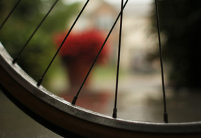 ������ ����, ���������, �����, ������, macro, �����, bicycle