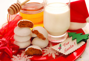 cakes, cool, holiday, beauty, christmas cookies, christmas, colors, drink, for santa, Beautiful
