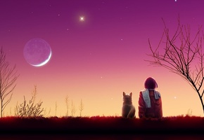 звезды, пейзаж, Арт, луна, девушка, закат, вечер, кошка