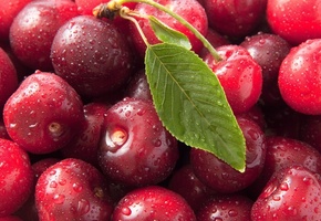 макро, черешня, ciliege, сладкая, вишня, Sweet cherry, фото, macro