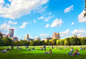 New york, здания, зелёная, люди, отдых, парк, дома, трава