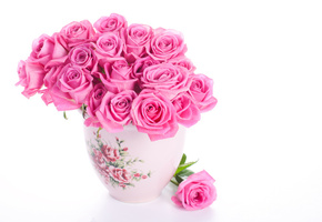розовые, Розы, ваза, белый фон