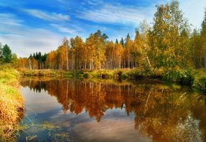 осень, лес, вода, Природа, отражения