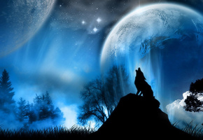луна, волк, камень, ночь, снег, дерево
