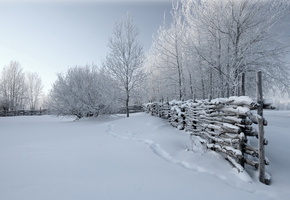 поле, деревья, снег, сугробы, плетень