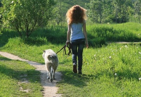 девушка, собака, природа, зелень, прогулка