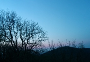 горы, деревья, силуэты, вечер, Крым, Crimea