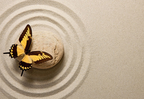 бабочка, минимализм, японскийсад камней