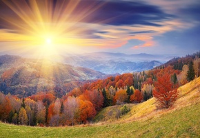 деревья, Холмы, осень, лучи, листва, солнце, облака, небо