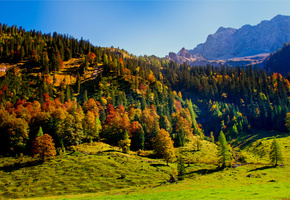 деревья, холмы, небо, горы, карвендель, Австрия, тироль