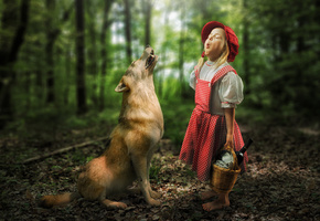 девочка, волк, лес, персонажи, сказка, забавно