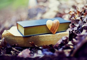 книги, сердечко, листья
