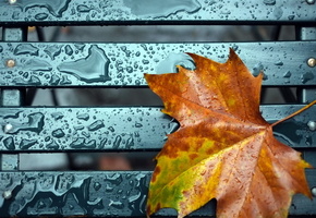 природа, осень, лист, экология, капли, дождь, скамейка, обои, фон, настроение