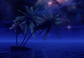 пальма, море, ночь, звезды