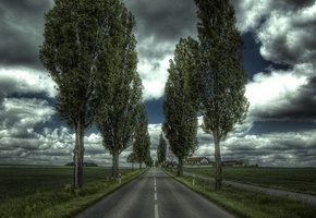 дорога, деревья, небо